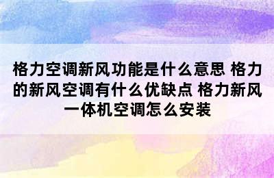 格力空调新风功能是什么意思 格力的新风空调有什么优缺点 格力新风一体机空调怎么安装